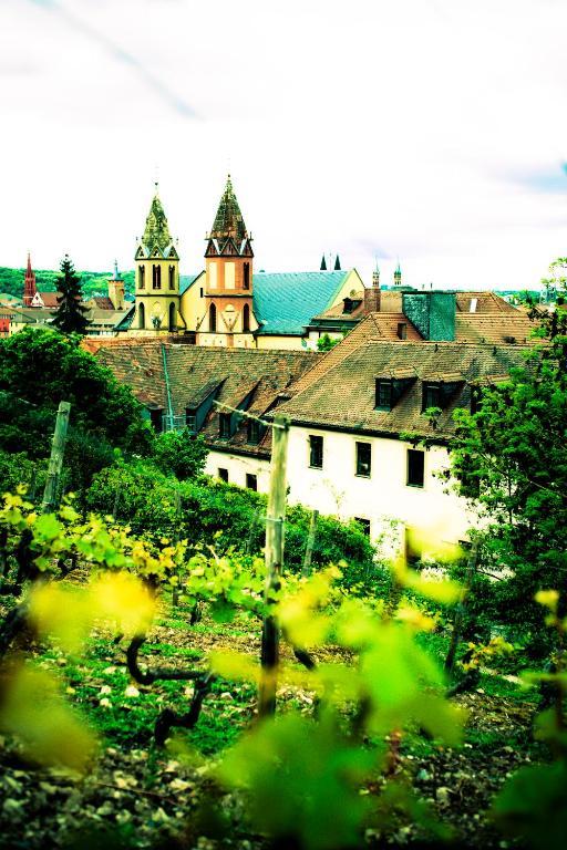 Youth Hostel Wuerzburg Eksteriør billede